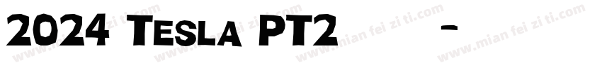 2024 Tesla PT2 留念字体转换